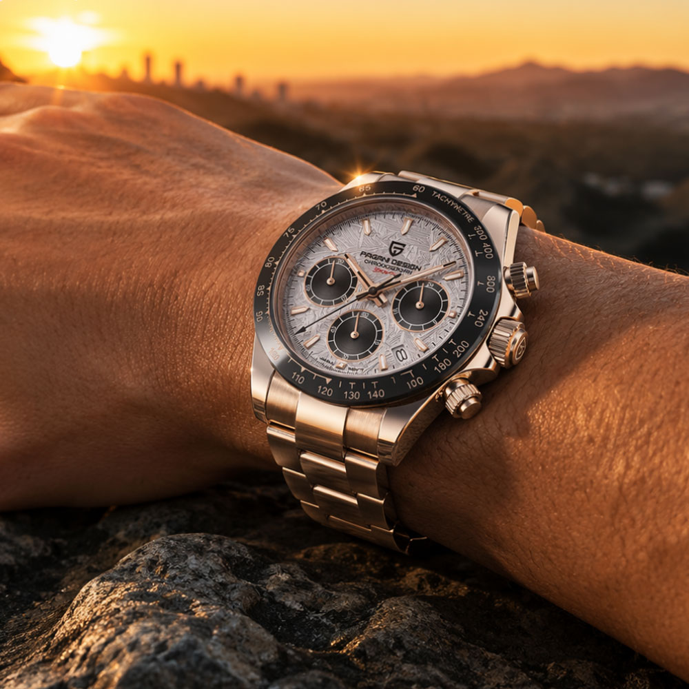 Top Brand PAGANI DESIGN Luxury - Jewelry Style Watches review and price